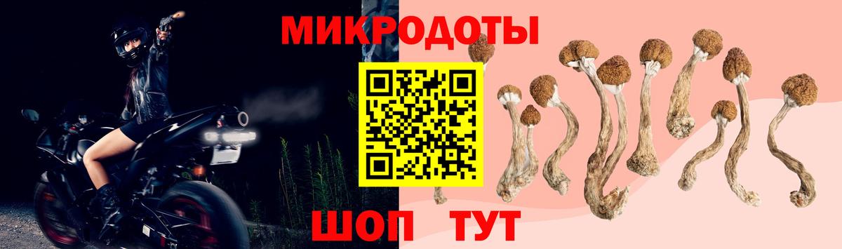 Галлюциногенные грибы Magic Shrooms Глазов